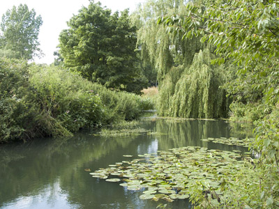 River Mole at Horley, Surrey. 0447DGB